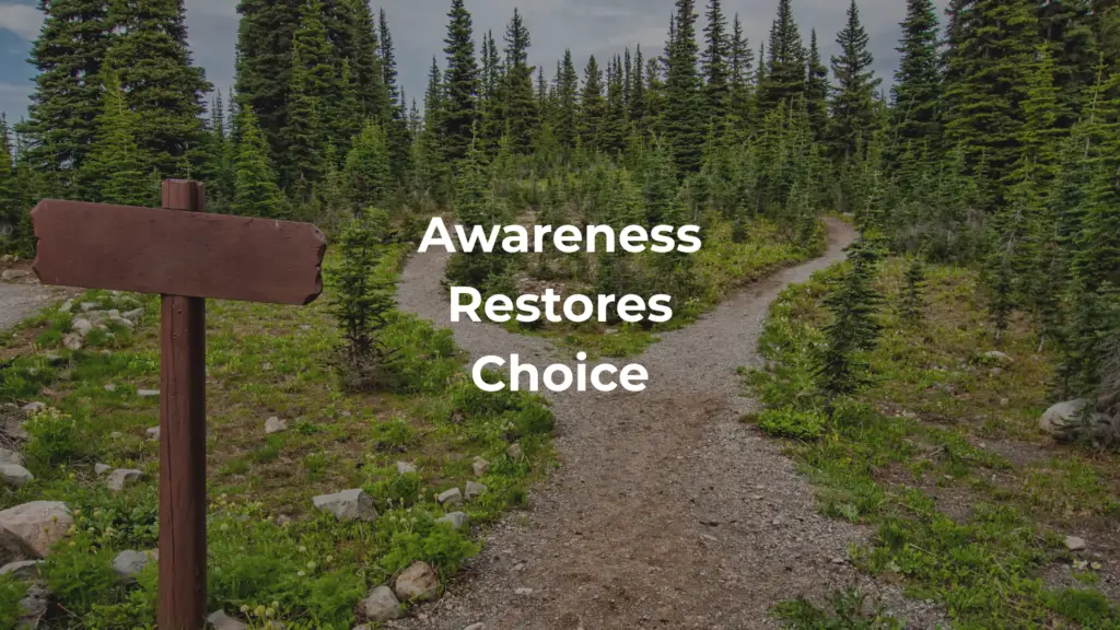 awareness restores choice through emotional clarity and understanding