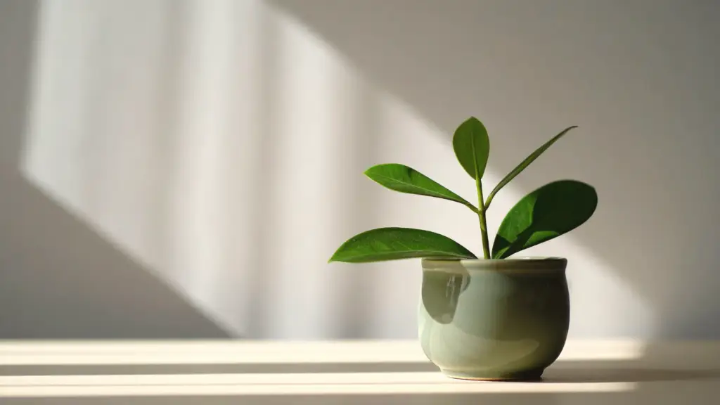 Small flourishing plant