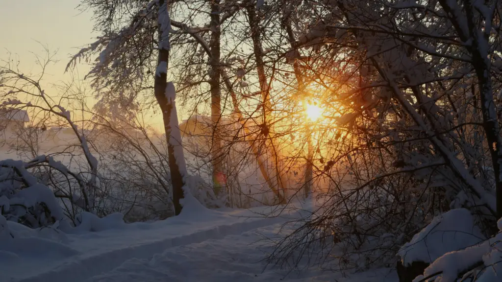 gentle year end reflection with emotional awareness and hope