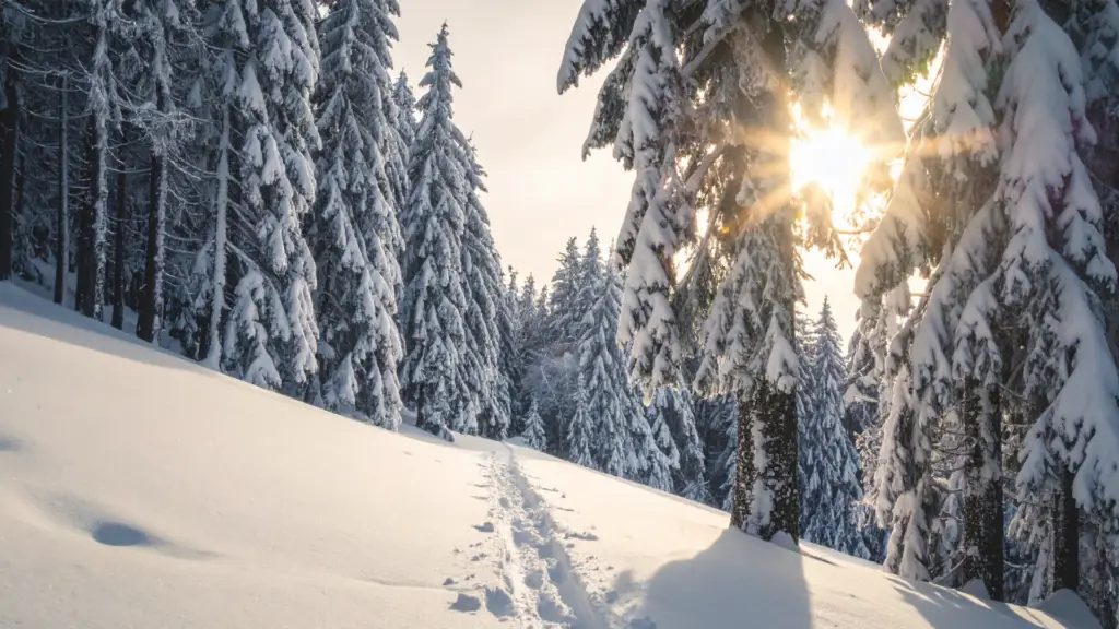 Emotional clarity helps interrupt automatic emotional patterns and restore choice.